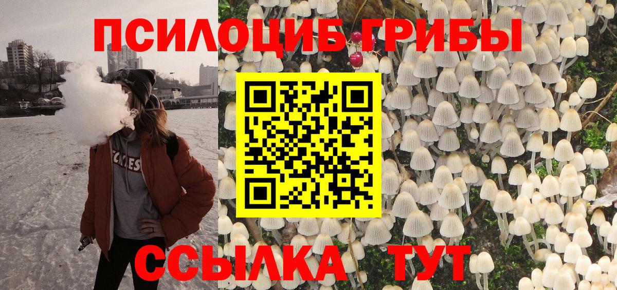 Псилоцибиновые грибы прущие грибы  где можно купить наркотик  Всеволожск  Вход с VPN 