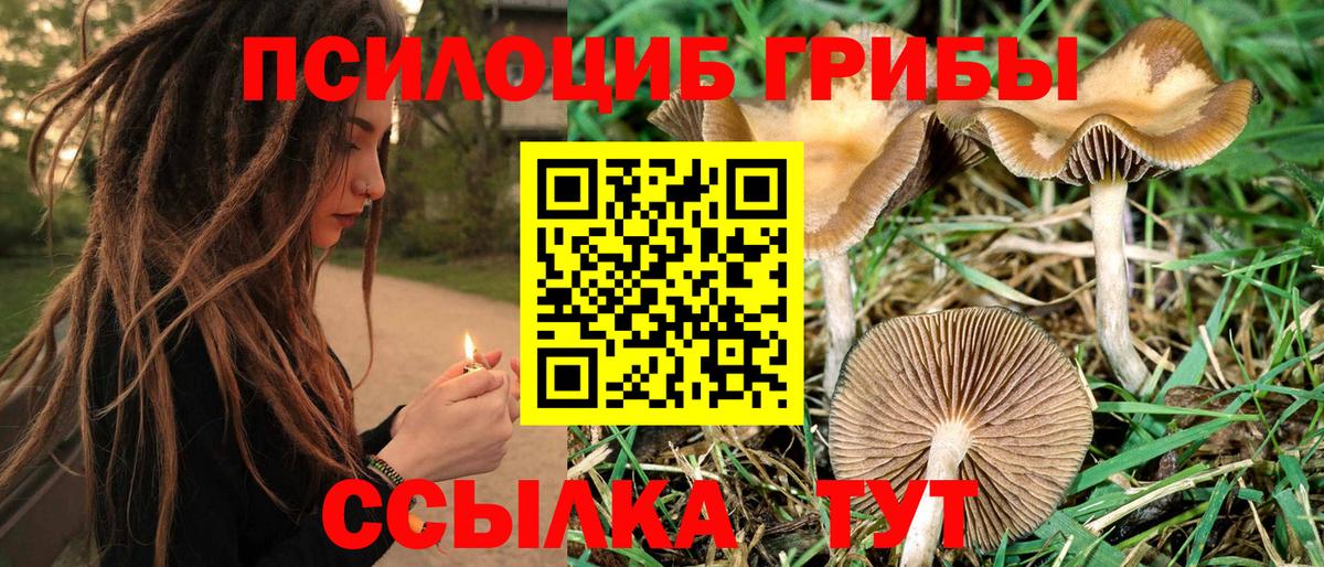 Псилоцибиновые грибы ЛСД Всеволожск